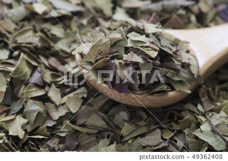 «草本»檸檬桃金孃 «草本»檸檬桃金孃 49362408