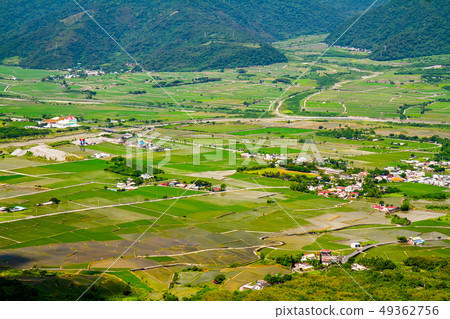 Taiwan Hualien Fuli Sixty Stone Mountain Golden Needle Flower Asia Taiwan Hualien Mountains 49362756