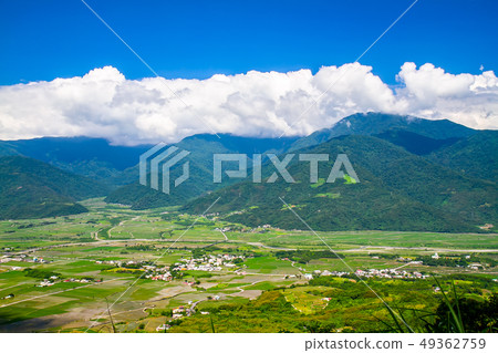 台灣花蓮富里六十石山金針花海Asia Taiwan Hualien Mountains 49362759