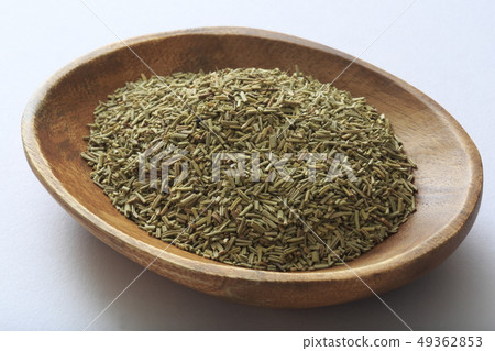 "Herb" Rosemary "Herb" Rosemary 49362853