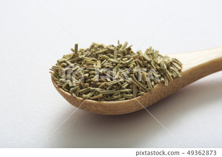 "Herb" Rosemary "Herb" Rosemary 49362873