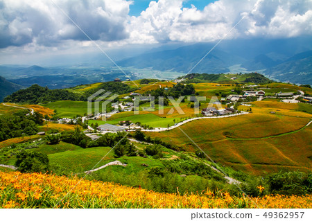 台灣花蓮富里六十石山金針花海Asia Taiwan Hualien Mountains 49362957