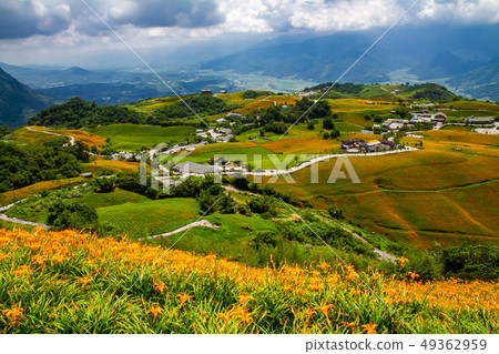 台灣花蓮富里六十石山金針花海Asia Taiwan Hualien Mountains 49362959