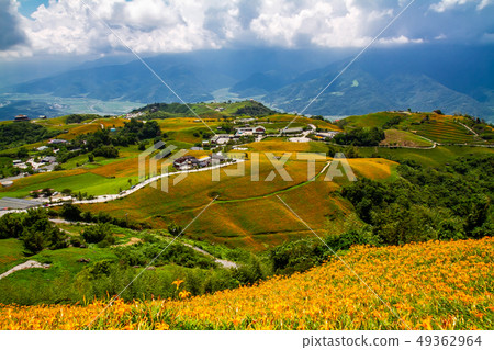 台灣花蓮富里六十石山金針花海Asia Taiwan Hualien Mountains 台灣花蓮富里六十石山金針花海Asia Taiwan Hualien Mountains 49362964