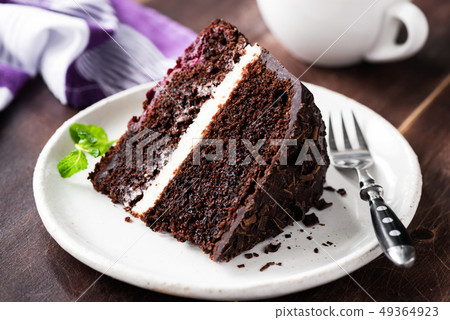 Slice of dark chocolate cake on plate 49364923