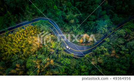 Car in rural road in deep rain forest, Aerial view Car in rural road in deep rain forest, Aerial view 49364956