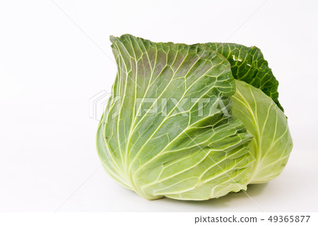 cabbage cabbage 49365877