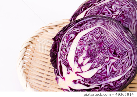 Purple cabbage 49365914