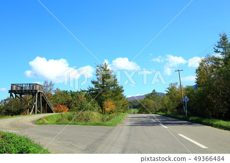 Shiretoko Shari Road leading to the sky Observatory 49366484