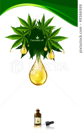 Marijuana plant and cannabis oil drop vector. 49366999