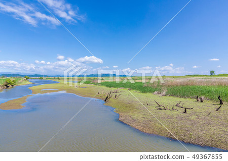 Haruwatarose Reservoir 1st control pond Refreshing spring 49367855