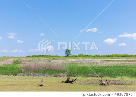 Haruwatarose Reservoir 1st control pond Refreshing spring Haruwatarose Reservoir 1st control pond Refreshing spring 49367875