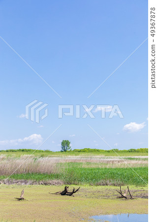 Haruwatarose Reservoir 1st control pond Refreshing spring Haruwatarose Reservoir 1st control pond Refreshing spring 49367878