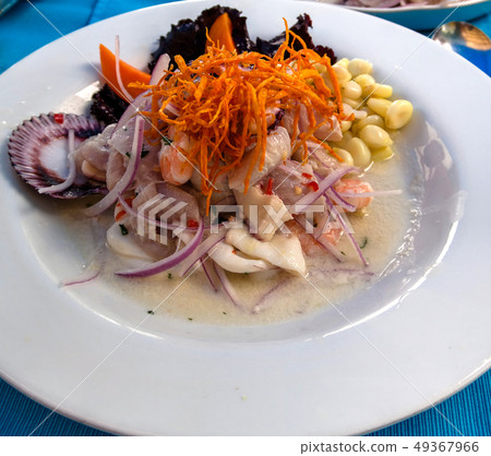 Close up view to Ceviche, Traditional peruvian Close up view to Ceviche, Traditional peruvian 49367966