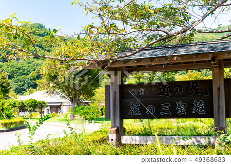 花的三神聖伊豆松崎 花的三神聖伊豆松崎 49368683