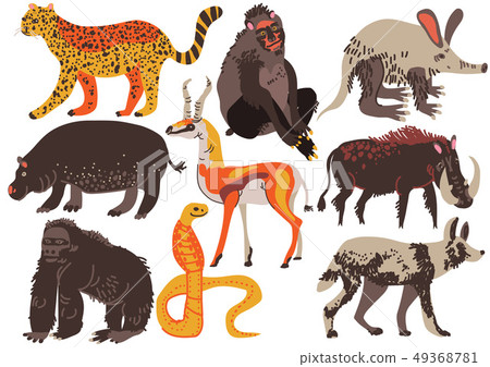 African Animals Set, Hippopotamus, Cheetah, Monkey, Antelope, Gorilla, Ssnake, Warthog, Aaardvark African Animals Set, Hippopotamus, Cheetah, Monkey, Antelope, Gorilla, Ssnake, Warthog, Aaardvark 49368781