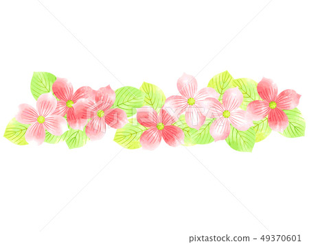 Watercolor style illustration background of dogwood 49370601