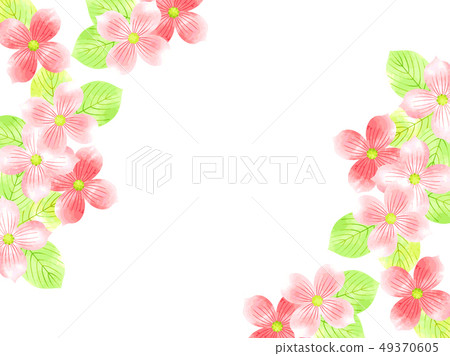 水彩樣式山茱萸例證背景 49370605