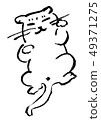 Cat Cat 49371275
