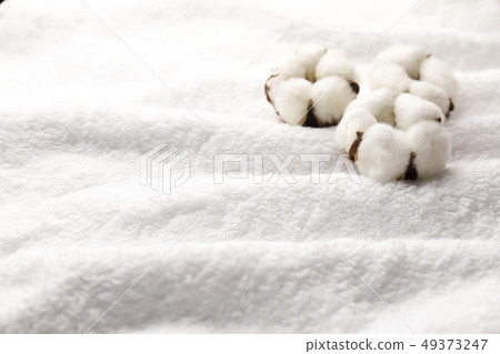 Cotton Cotton 49373247