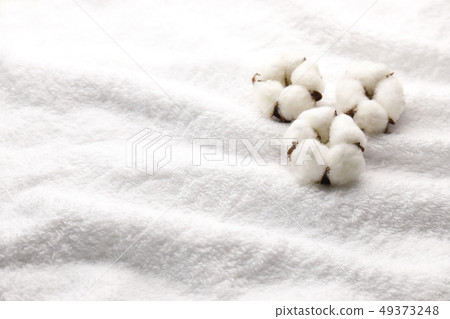 Cotton Cotton 49373248