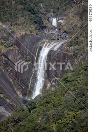 Waterfall of Yakushima Chihiro Waterfall of Yakushima Chihiro 49373929