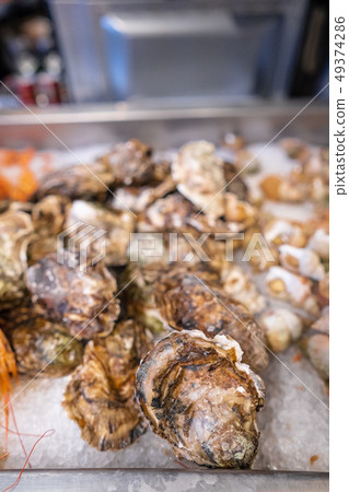 Fresh closed oysters on counter with ice Fresh closed oysters on counter with ice 49374286