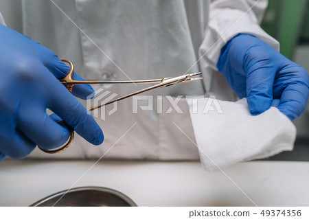 Women's hands in rubber gloves hold a clip and gauze Women's hands in rubber gloves hold a clip and gauze 49374356