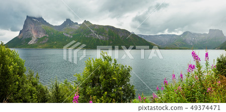 Fjord summer cloudy view, Norway Fjord summer cloudy view, Norway 49374471