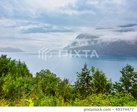 Summer fjord view, Norway 49374477
