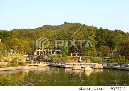 Beautiful view of pond at the tko park 49374641