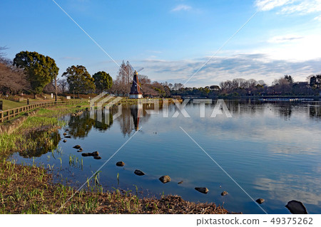 早春的宇木間公園(東京板橋區) 早春的宇木間公園(東京板橋區) 49375262