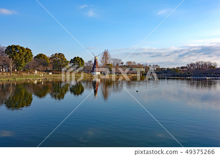 早春的宇木間公園(東京板橋區) 早春的宇木間公園(東京板橋區) 49375266