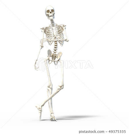 Skeleton skeleton skeleton perming3DCG illustrations material Skeleton skeleton skeleton perming3DCG illustrations material 49375335