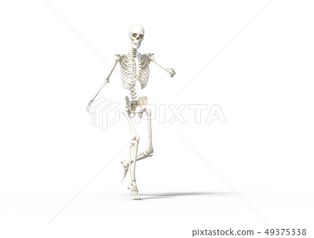 Skeleton skeleton skeleton perming3DCG illustrations material 49375338
