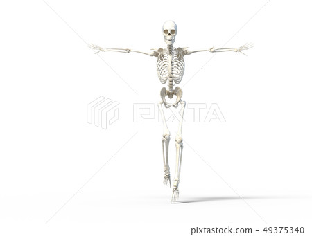 骨架骨架骨架perming3DCG插圖素材 49375340