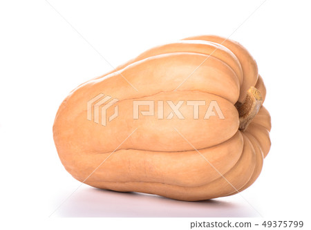 Pumpkin isolated on a white background. Copy space Pumpkin isolated on a white background. Copy space 49375799