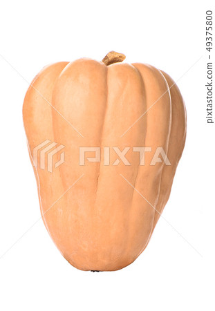 Pumpkin isolated on a white background. Copy space Pumpkin isolated on a white background. Copy space 49375800