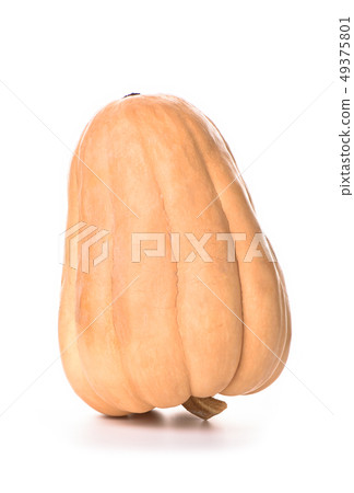 Pumpkin isolated on a white background. Copy space Pumpkin isolated on a white background. Copy space 49375801
