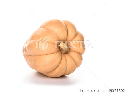 Pumpkin isolated on a white background. Copy space 49375802