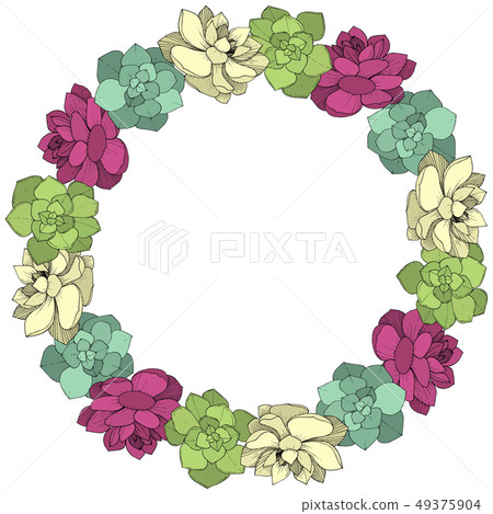 Vector Succulents floral botanical flower. Engraved ink art on white background. Frame border 49375904