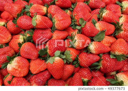 Public market in Guangdong Province 49377673