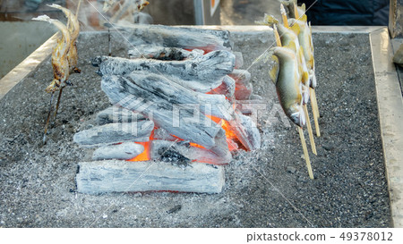 Grilled iwana or yamame fish 49378012