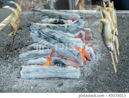 Grilled iwana or yamame fish 49378013