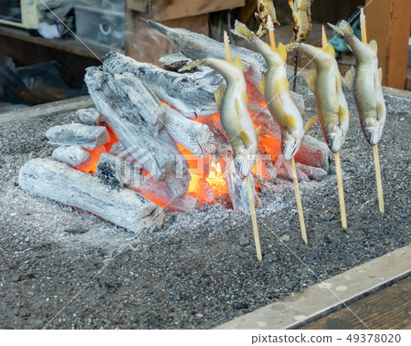 Grilled iwana or yamame fish 49378020