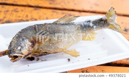 Grilled iwana or yamame fish 49378021
