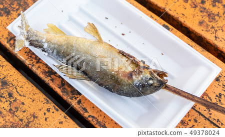 Grilled iwana or yamame fish 49378024