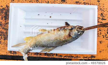 Grilled iwana or yamame fish 49378026
