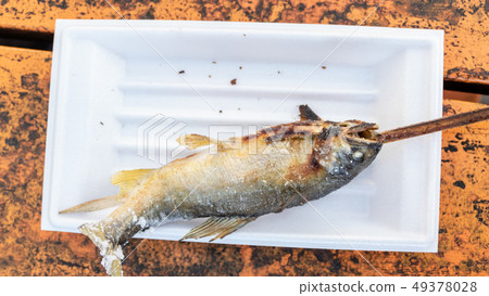 Grilled iwana or yamame fish 49378028