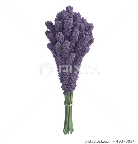 Flowers 3d illustration isolated on the white background Flowers 3d illustration isolated on the white background 49378054